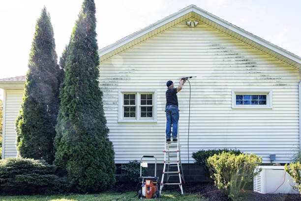 Best Gutter Cleaning  in Westover, WV